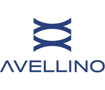 Avellino
